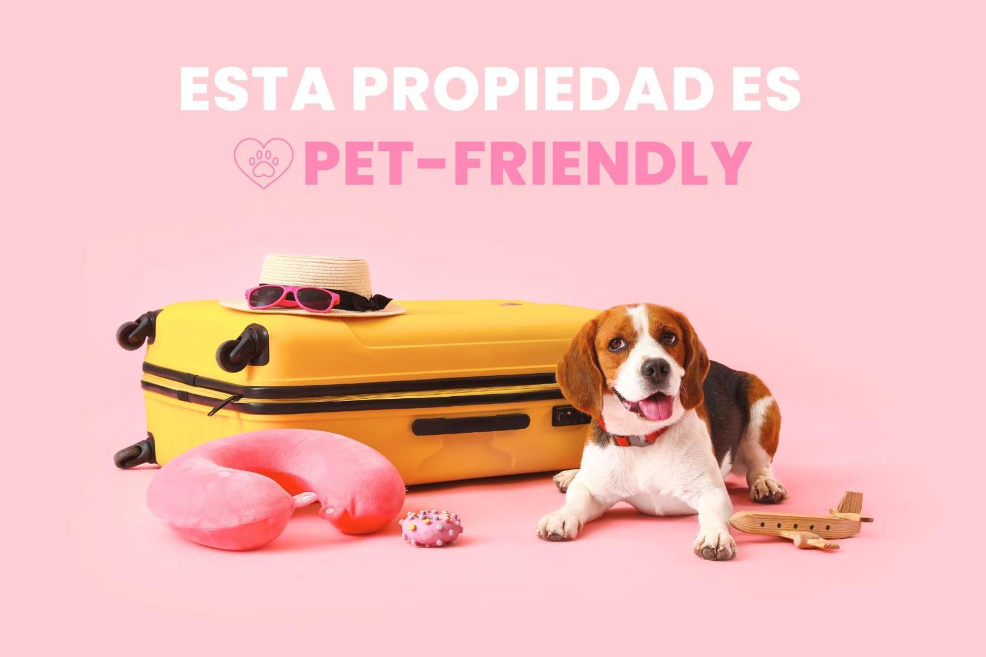 卡尼略Terraza Privada I Refugio Tranquilo Con Vistas公寓 外观 照片